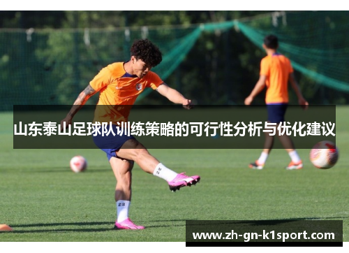 山东泰山足球队训练策略的可行性分析与优化建议